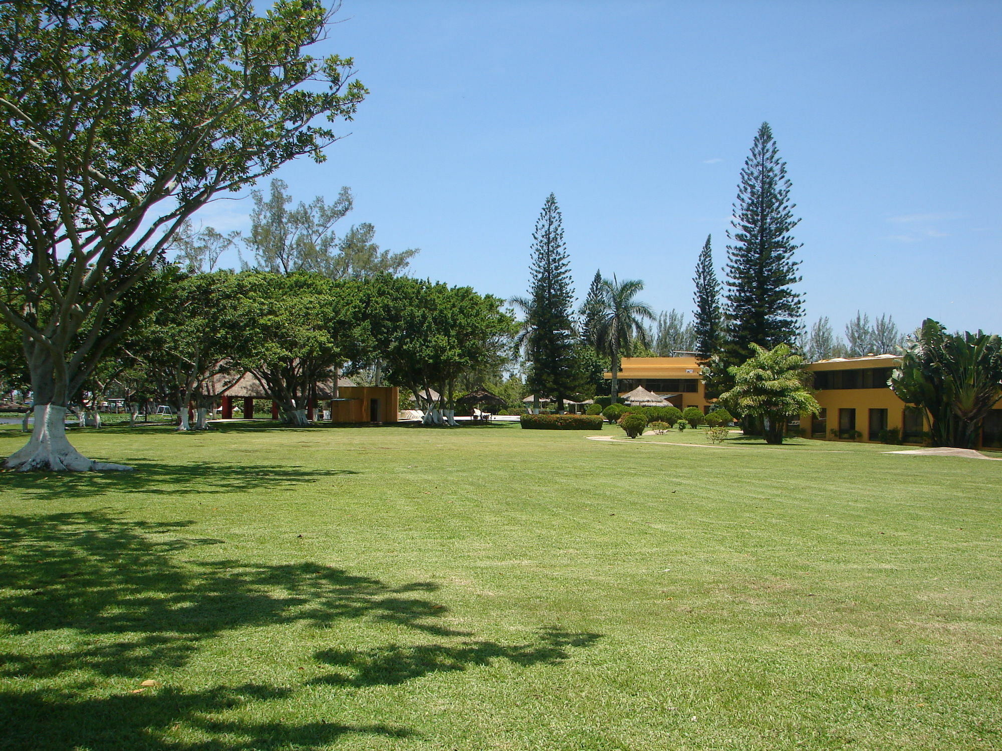 Hotel Terranova コアツァコアルコス エクステリア 写真 The campus of the University of the West Indies at Mona